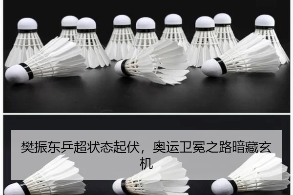 fan-zhen-dong-ping-chao-zhuang-tai-qi-fu-ao-yun-wei-mian-zhi-lu-an-cang-xuan-ji-2-626.jpg