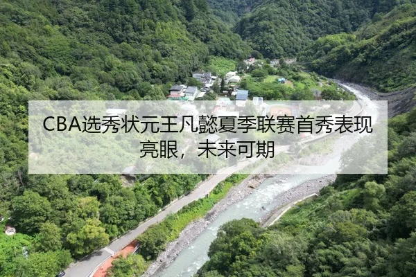 CBA选秀状元王凡懿夏季联赛首秀表现亮眼，未来可期